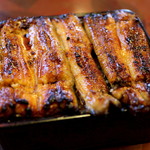 藤舟 - うな重特上（大盛）