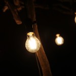 ​冬のRK GARDEN - 