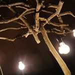 ​冬のRK GARDEN - 