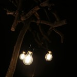 ​冬のRK GARDEN - 