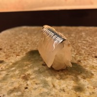 すし家 一柳 - 