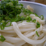 うどんの岡崎 - ざるうどん