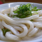 うどんの岡崎 - ひやひや