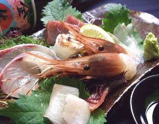 地鶏とお魚 月のなか - 