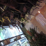 Brother Baba Budan - AUGらしい花が活けてあります^ ^