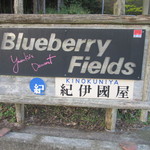 Blueberry Fields 紀伊國屋 - 