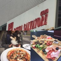 Salvatore Cuomo 白金高輪 - 昨日は暖かったから
                チョコレートと散歩