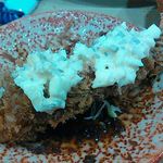 とんかつ　若葉 - 海老フライにタルタル