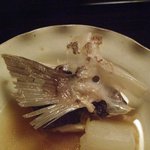 建仁寺 祇園 丸山 - 鯛中鯛