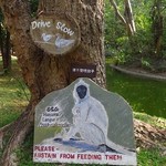 Sigiriya Village - 館内の雰囲気