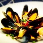 Clams and mussels steamed in white wine