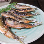 かたつむり - 天然鮎