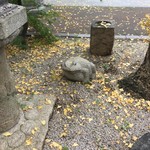 かえる食堂 - 近所のお寺の「びきたん」❣️
      銀杏の葉っばを頭に乗せて、ドロリンパ‼︎