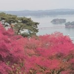 潮騒 - 窓から写した松島湾