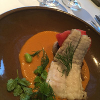 Wattle Tokyo - 