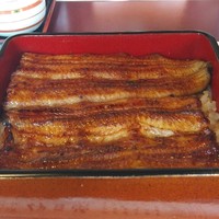 鰻割烹 伊豆栄 不忍亭 - 鰻重　竹　3780円