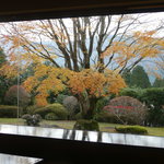 晩秋のお庭　紅葉も終わりに近ずいて