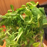 東京肉しゃぶ家 - 