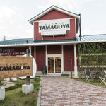 Cafe brunch TAMAGOYA - 