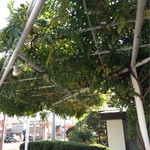 手打蕎麦のたぐと - 