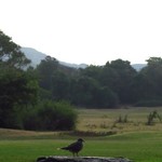 Amaya Lake - 自然公園の中にあるようなホテルです