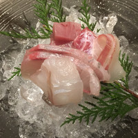 魚匠 銀平 道頓堀店 - お造り