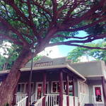 Macky's Sweet Shrimp Truck - パタゴニア　ハレイワ店