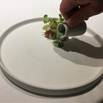 ラチュレ - 翡翠のソースが綺麗すぎて