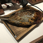 ラチュレ - 沖縄高麗雉