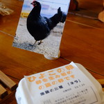 Fattoria Komoto - 直売所ではオーナーが飼っている鶏の生みたて卵が販売