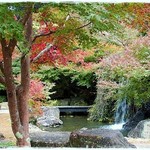 蒜山ラッテバンビーノ - 