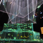 ラ・クチネッラ・ディ・ヤマモト - アートアクアリウムにて①