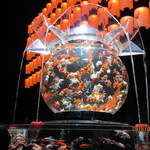 ラ・クチネッラ・ディ・ヤマモト - アートアクアリウムにて②