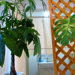 だんらん食堂 - トイレ