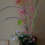 草喰 なかひがし - 