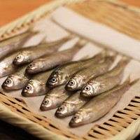 祇園 きだ - 食材の一例