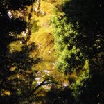 店舗極近郊点描