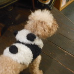 鉄板料理 風神 - よつばちゃん　2016.11