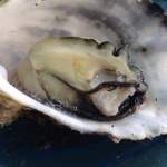 牡蠣屋 長兵衛 - 料理写真: