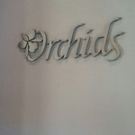 Orchids - 
