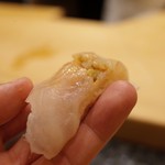 初音鮨 - 4回目11月中旬