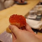 初音鮨 - 4回目11月中旬