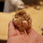 初音鮨 - 4回目11月中旬