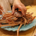 初音鮨 - 4回目11月中旬