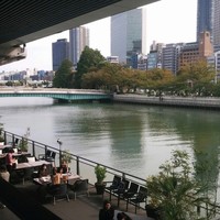 スミレオオサカ - 