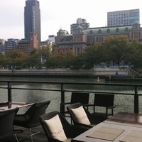 スミレオオサカ - 