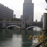 スミレオオサカ - 