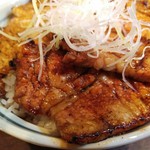 十勝豚丼 いっぴん - 豚丼アップ