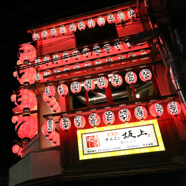 Yakiniku Horumon Sakagami Ura Namba photo 4