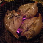 Akita Nagaya Sakaba - ノドグロの炭火焼き